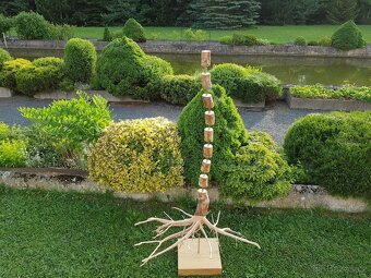 Dřevěná socha - páteř stromu - 2