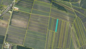 Prodej vinice - 4 550 m2 - Novosedly na Moravě - 2