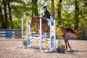 Pony do sportu - 2