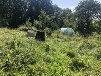 Pozemek se zahradní chatou u lesa 1928 m², Sedliště u Libáně - 2