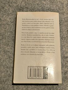 Kniha Sophie Kinsella - Báječné nakupování před svatbou - 2