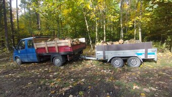 Levné palivové dřevo - 2