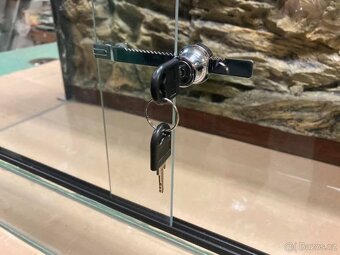 Vybavené terárium 100x50x50 - 2