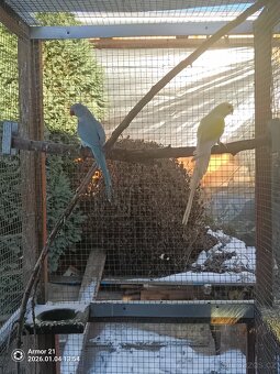 Končím s chovem - 2