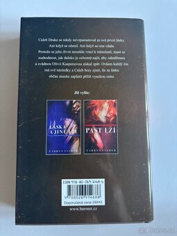 Zloděj - Tarryn Fisher - 2