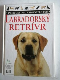 Jezevčík + Labradorský retrívr + Foxteriér - 2