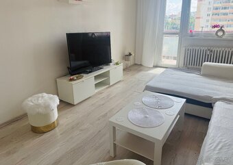 Most – místo ke spolubydlení, nejde o peníze - 2
