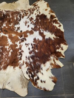 kůže, hovězí kožešina, velikost 174x166 cm - 2