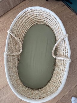 Mojžišův košík - 2