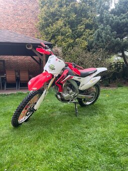 Diabolini MMR 250-2021 - 2