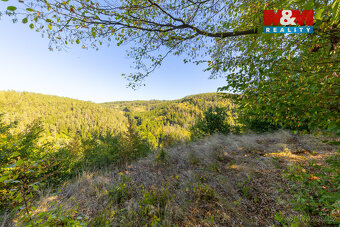 Prodej lesa, 7450 m², Lomnice - 2