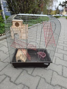 Klec pro papouška - 2