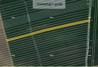 Prodej sadu / vinice 11 743 m², Čejkovice - 2