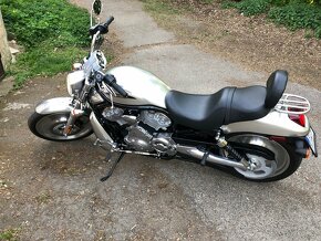 Harley Davidson V rod - 2