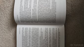 Řbitov zvířátek (Stephen KING) - 2