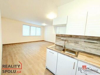 Pronájem, byty/1+kk, 42 m2, Na Jíkalce 3051/19, Jižní Předmě - 2
