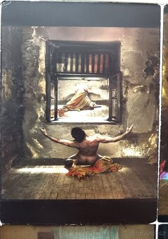 5x Pohlednice-Sarah Saudek. - 2