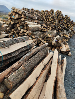 Prodám dubové kůly - 2