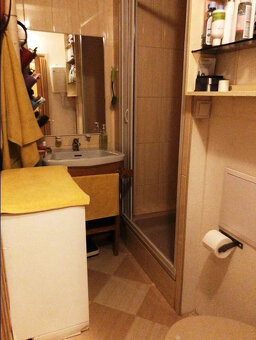 Prodej bytu 1+kk, 24 m², Praha 6 - 2