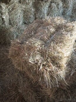 Seno-malé balíky - 2