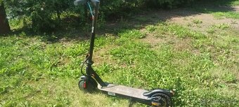 ElektroKoloběžka eScooter E5 250W - 2