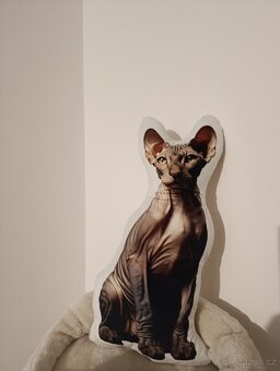 Polštář 3d Sphynx - 2