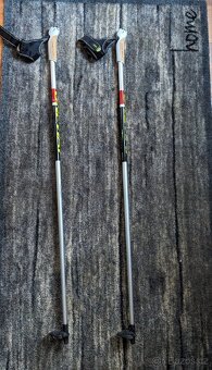 běžkařské hole - 2