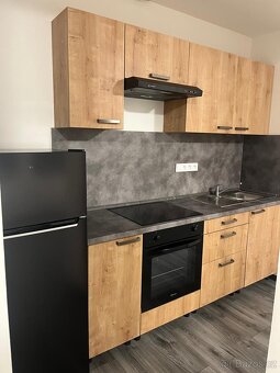 1KK Slezské předměstí - 2