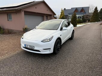 Tesla Model Y Performance - 2