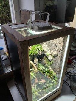 terárium - 2