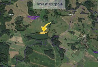 Prodej pole 5 351 m², Chanovice - Újezd u Chanovic - 2