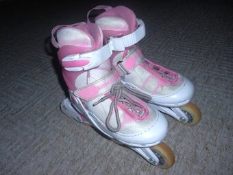 in line - CYGNUS - 2