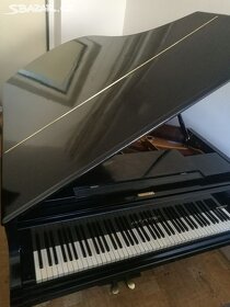 Piano klavir kridlo - 2