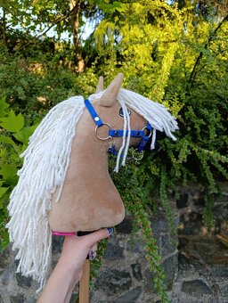 Larden xs hobby horse - 2