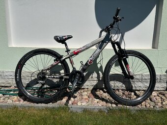 Horské kolo Dirtparade - 2