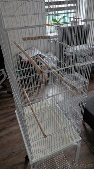 Vysoká klec/voliéra - Nová - 2