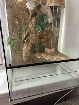 Prodám terárium + vybavení - 2