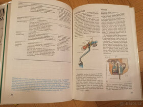 Vynálezy na všední den - 2