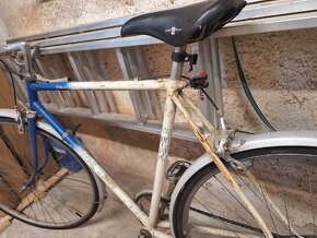 Eska závodnička - 2