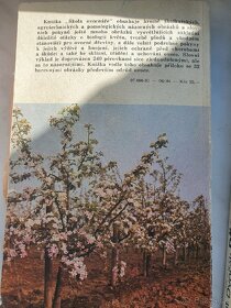 Skola ovocnare, pestovani jabloni - 2