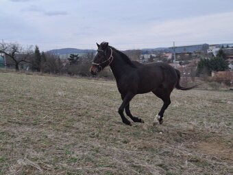 Valach A1/1 - 2