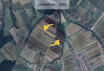 Prodej pole v k.ú. Malá Vrbka - 2