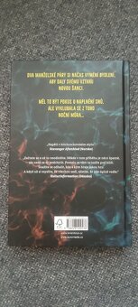Kniha Nic než pravda (Stefan Ahnhem) - 2