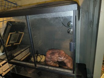 Terarium pro zaby a jine - 2