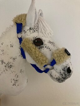 Hobby Horse - 2