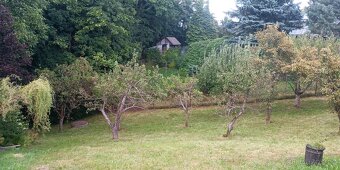 Pronájem zahrady - 2