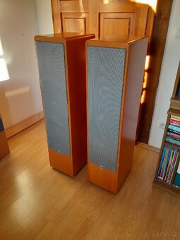 Canton Ergo RC-L - 2