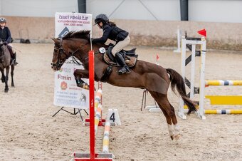 TOP sportovní pony A učitel + další pony - 2