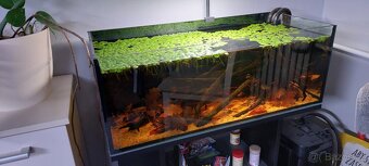 Akvarijní set - 2