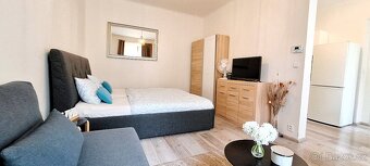 Pronájem bytu 1+kk , Truhlářská, Praha - Nové Město - 2
